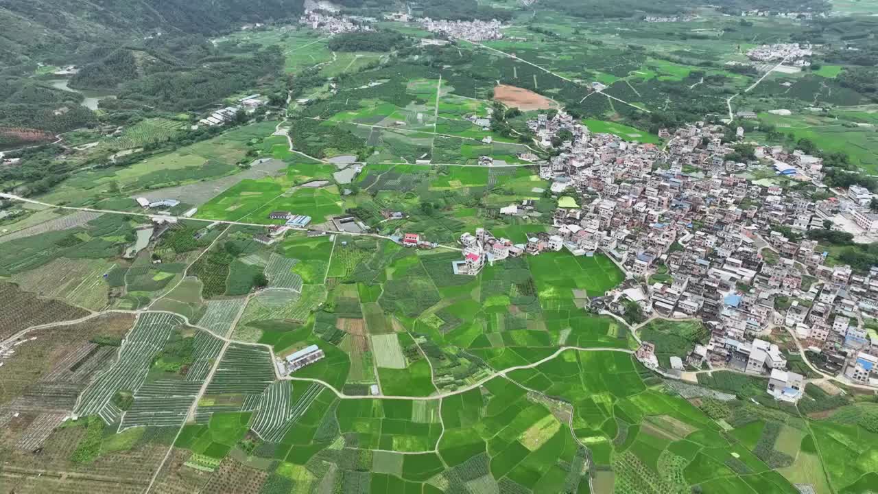 航拍山谷间中国传统村落，春天，稻田里是绿油油的稻苗视频素材