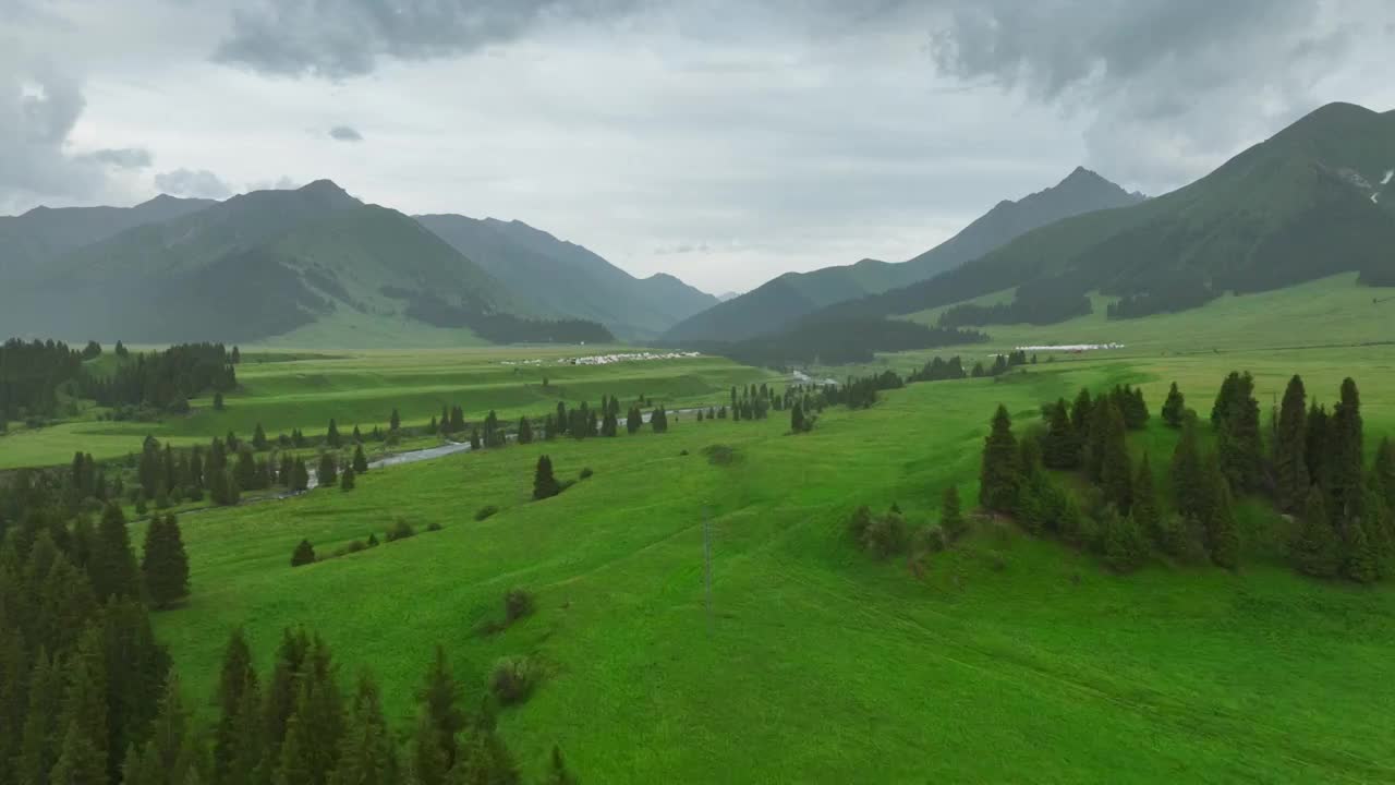 草原森林河流风景航拍视频素材