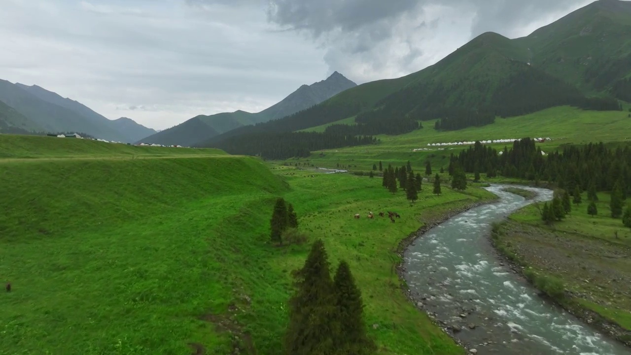 草原森林河流风景航拍视频素材