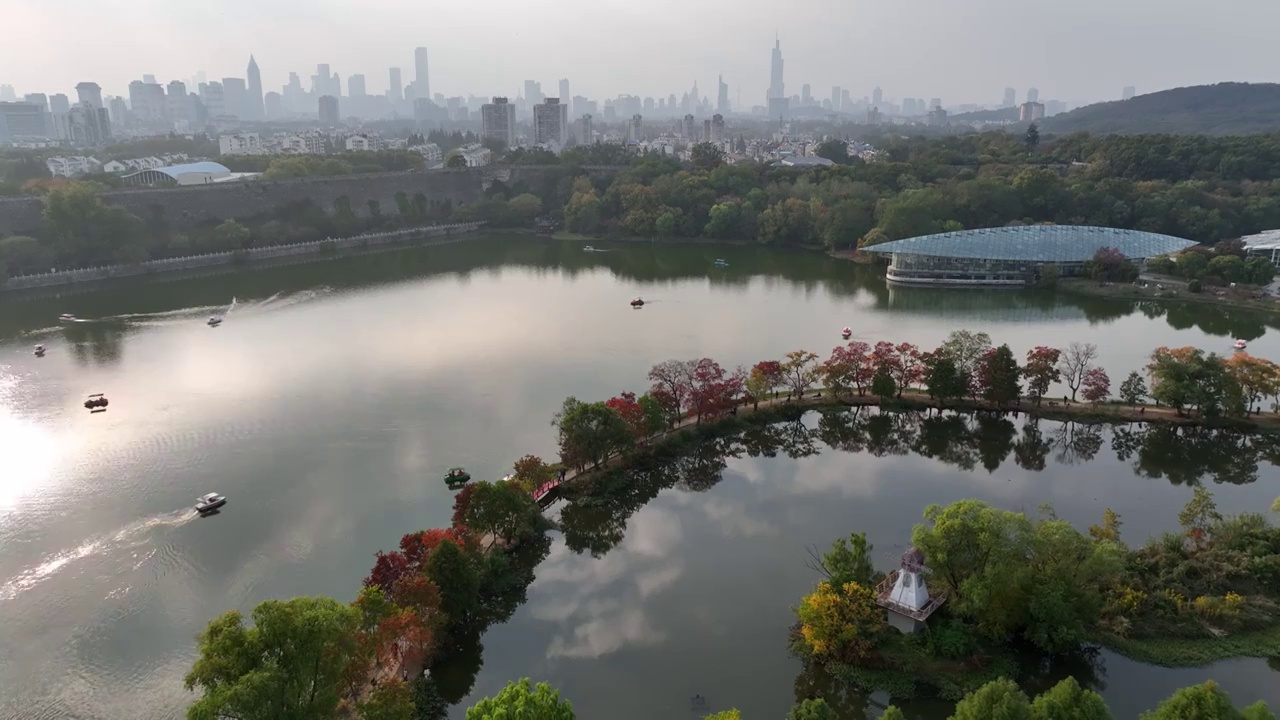 南京中山植物园秋景视频素材