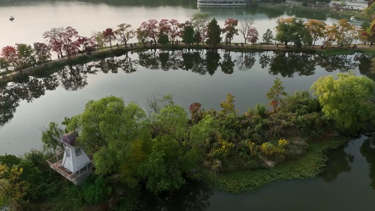 南京中山植物园秋景视频素材