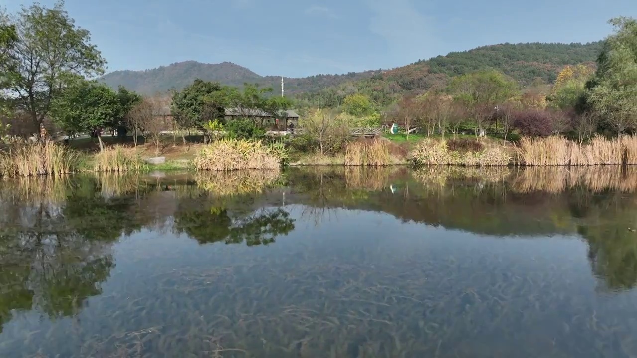 穿云航拍南京郊区山林视频素材