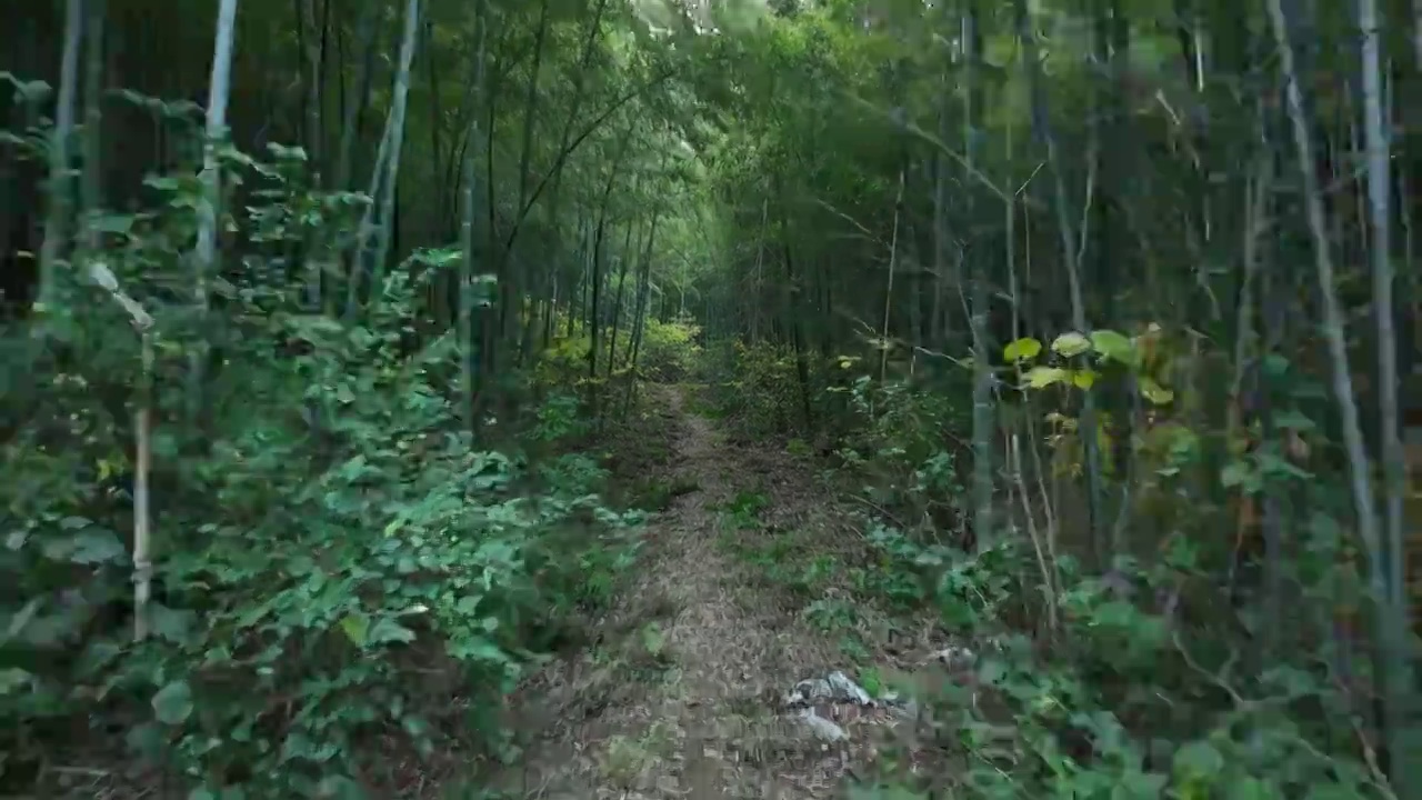 穿云航拍南京郊区山林视频素材