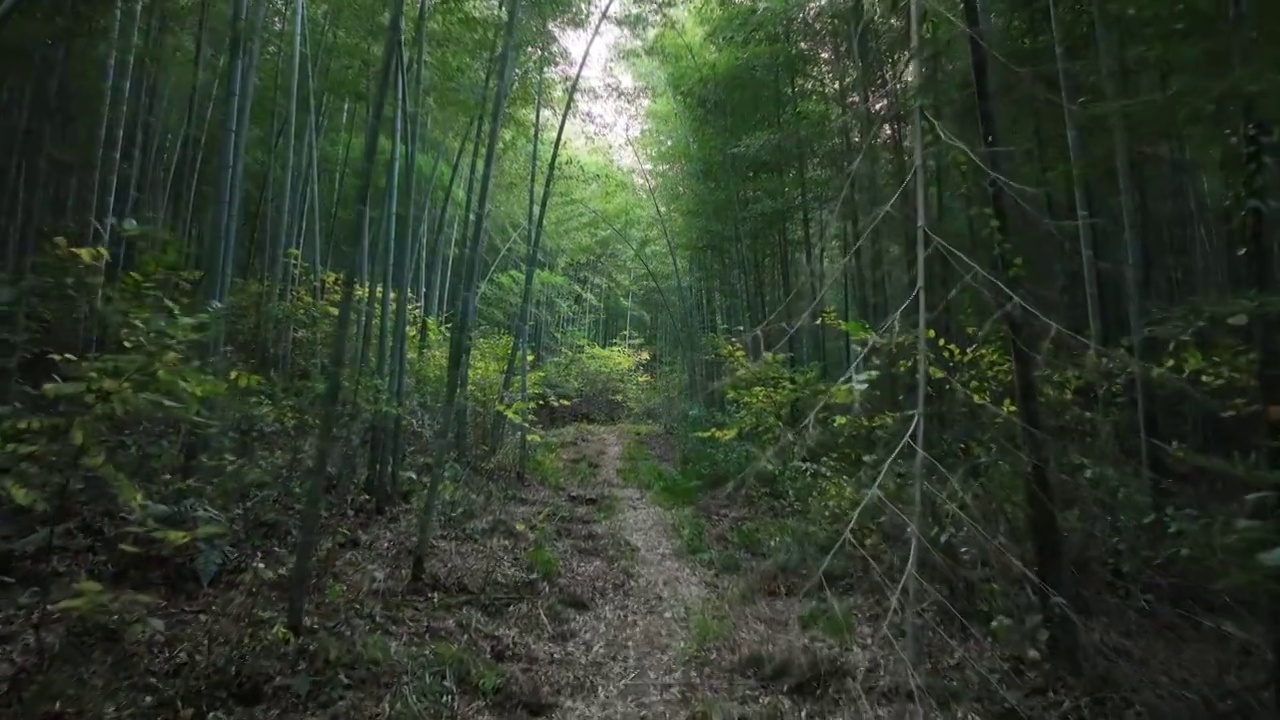 穿云航拍南京郊区山林视频下载