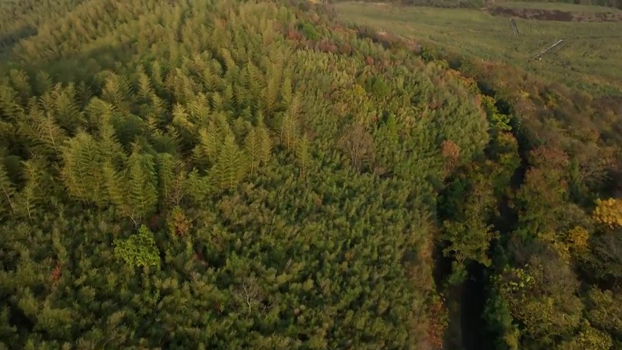 穿云航拍南京郊区山林视频素材