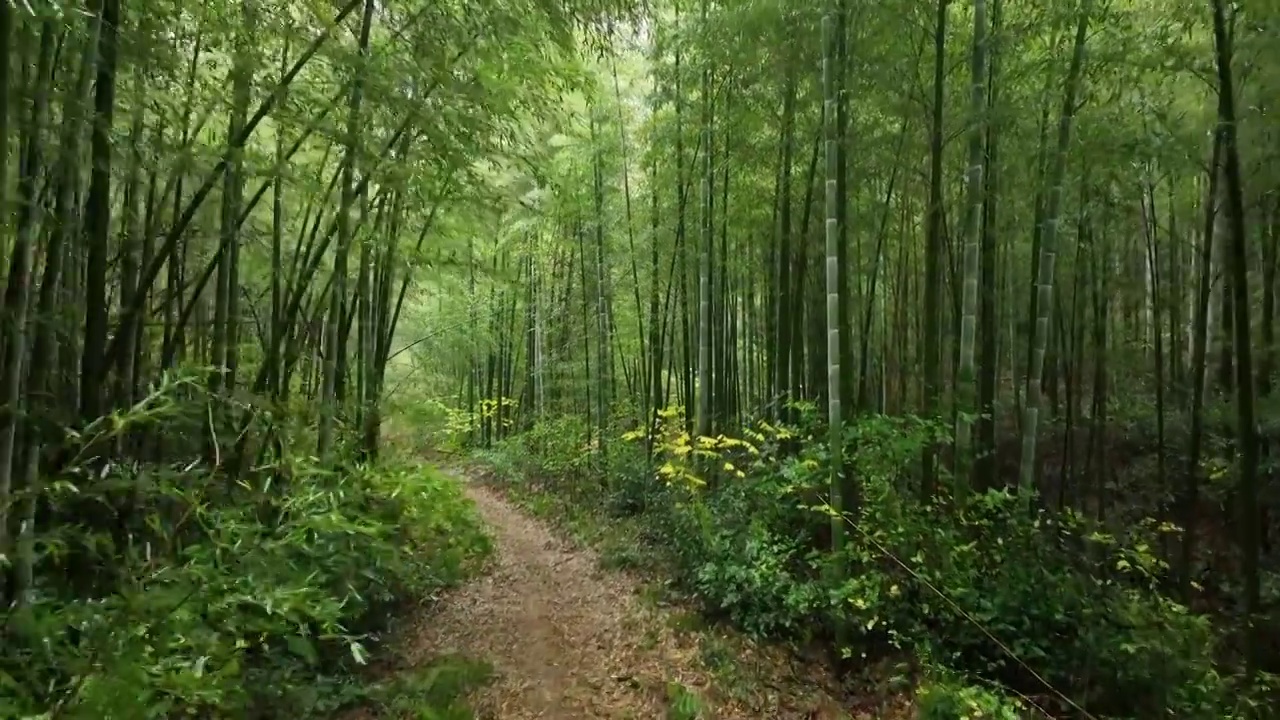 穿云航拍南京郊区山林视频素材