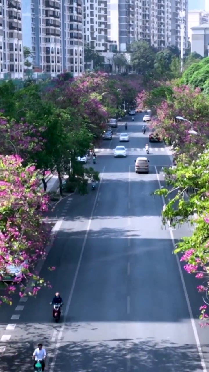 高清竖屏航拍南宁青秀区枫林路风景（合集）视频素材