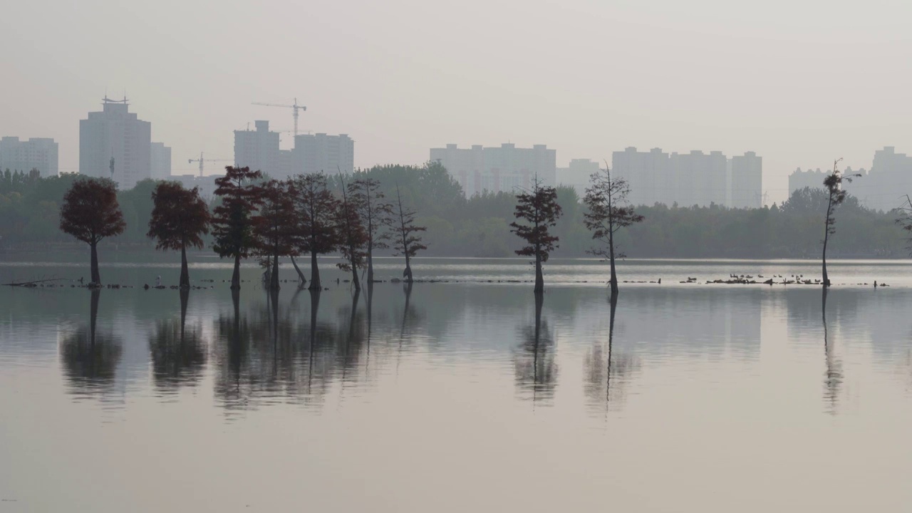 夕阳下城市风光意境实拍视频视频素材