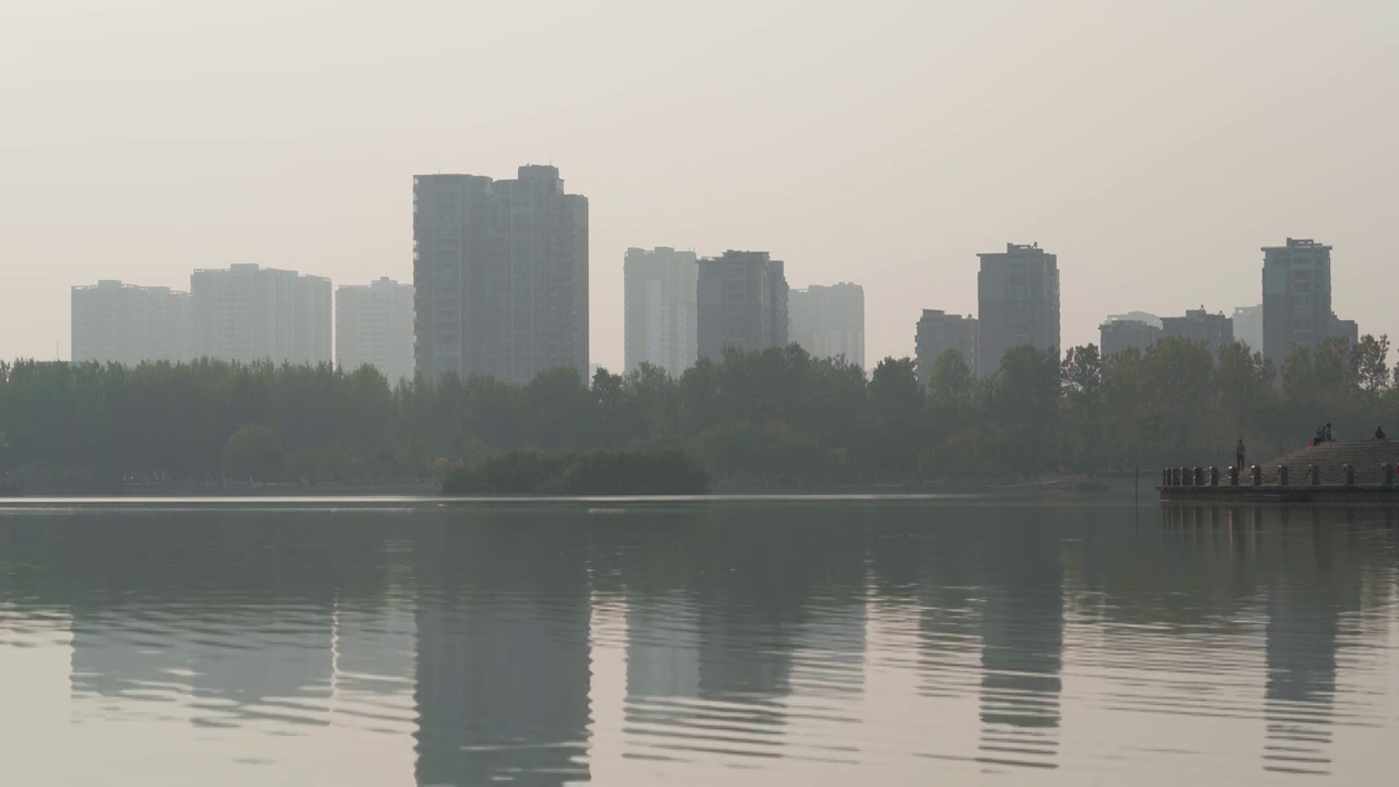 迷雾中梦幻湿地公园剪影视频素材