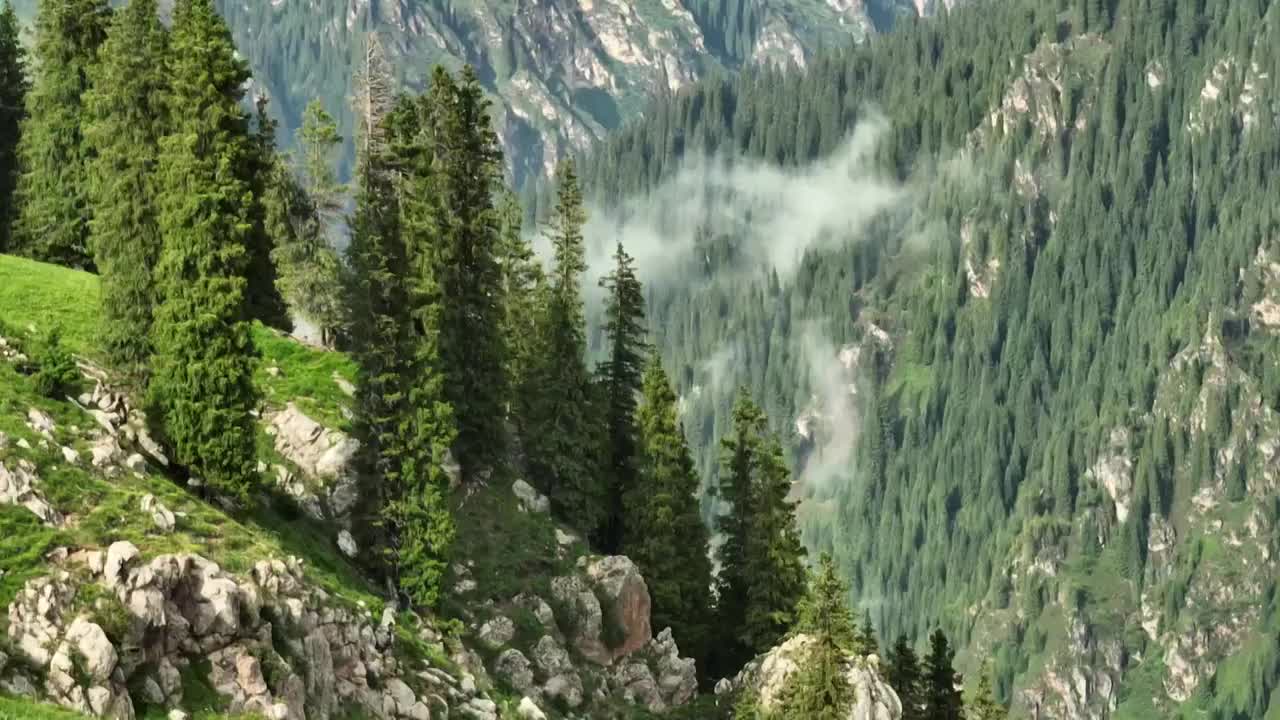 自然风光山川森林航拍视频素材