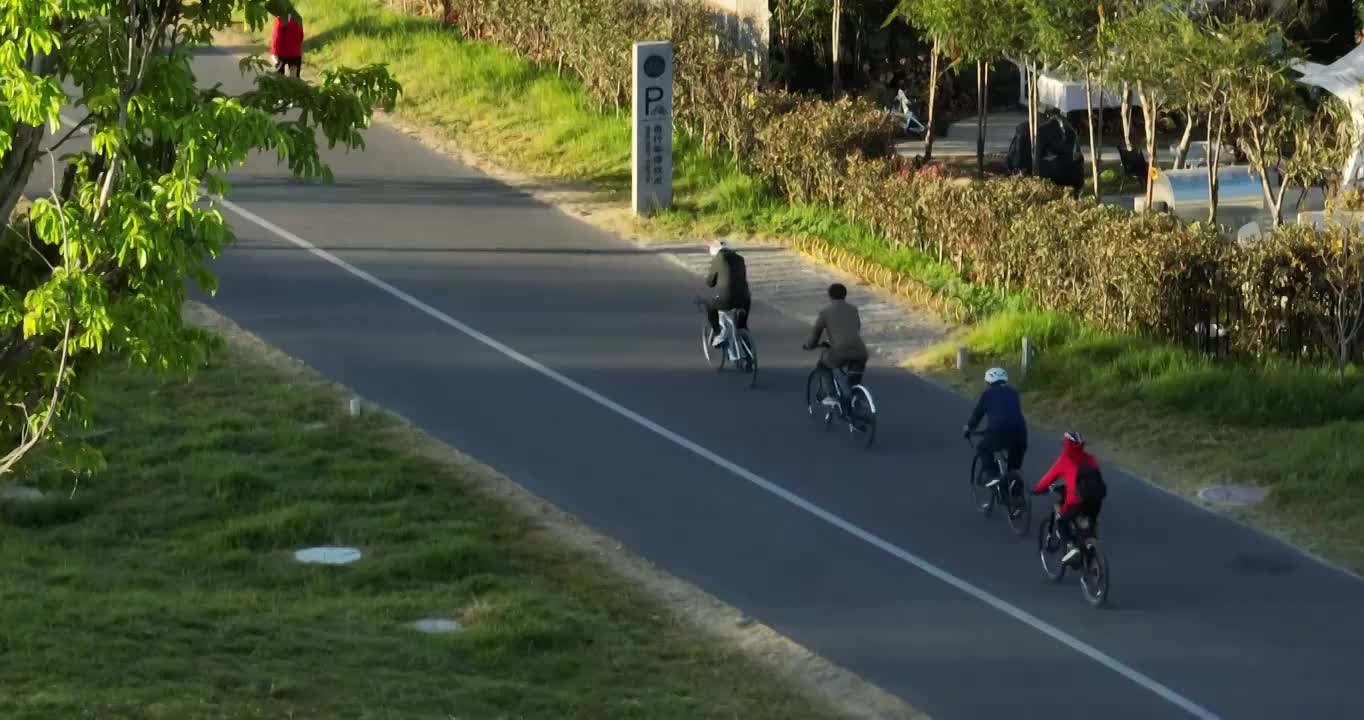 航拍大理洱海边湿地公园的游客视频素材