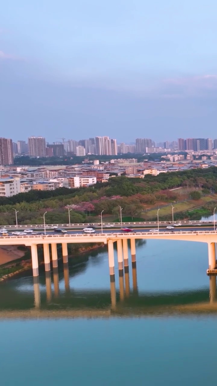 高清竖屏航拍南宁清川大桥风景视频素材