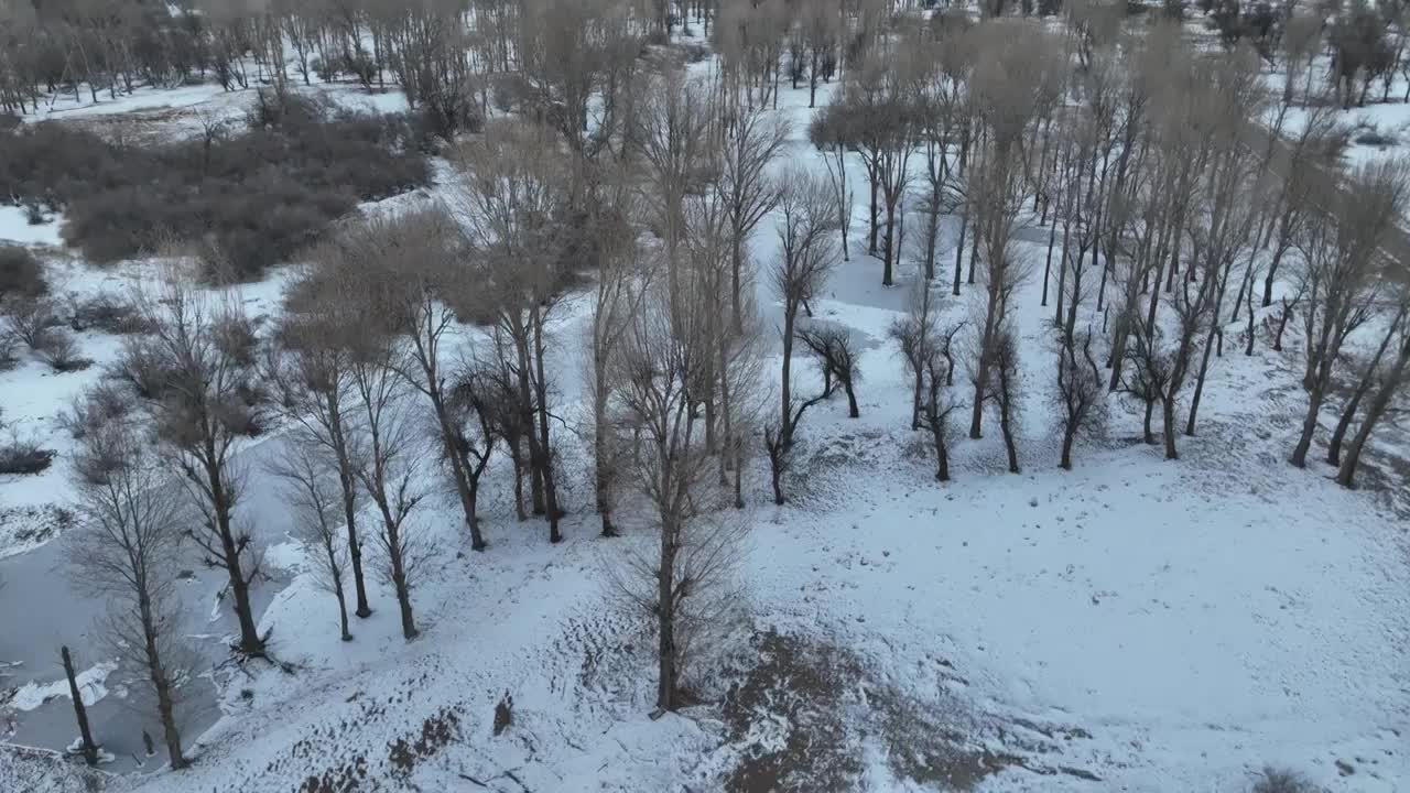 冬季雪景视频素材