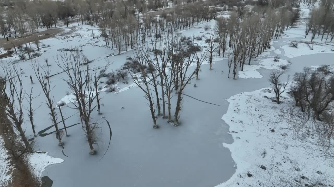 冬季雪景视频素材