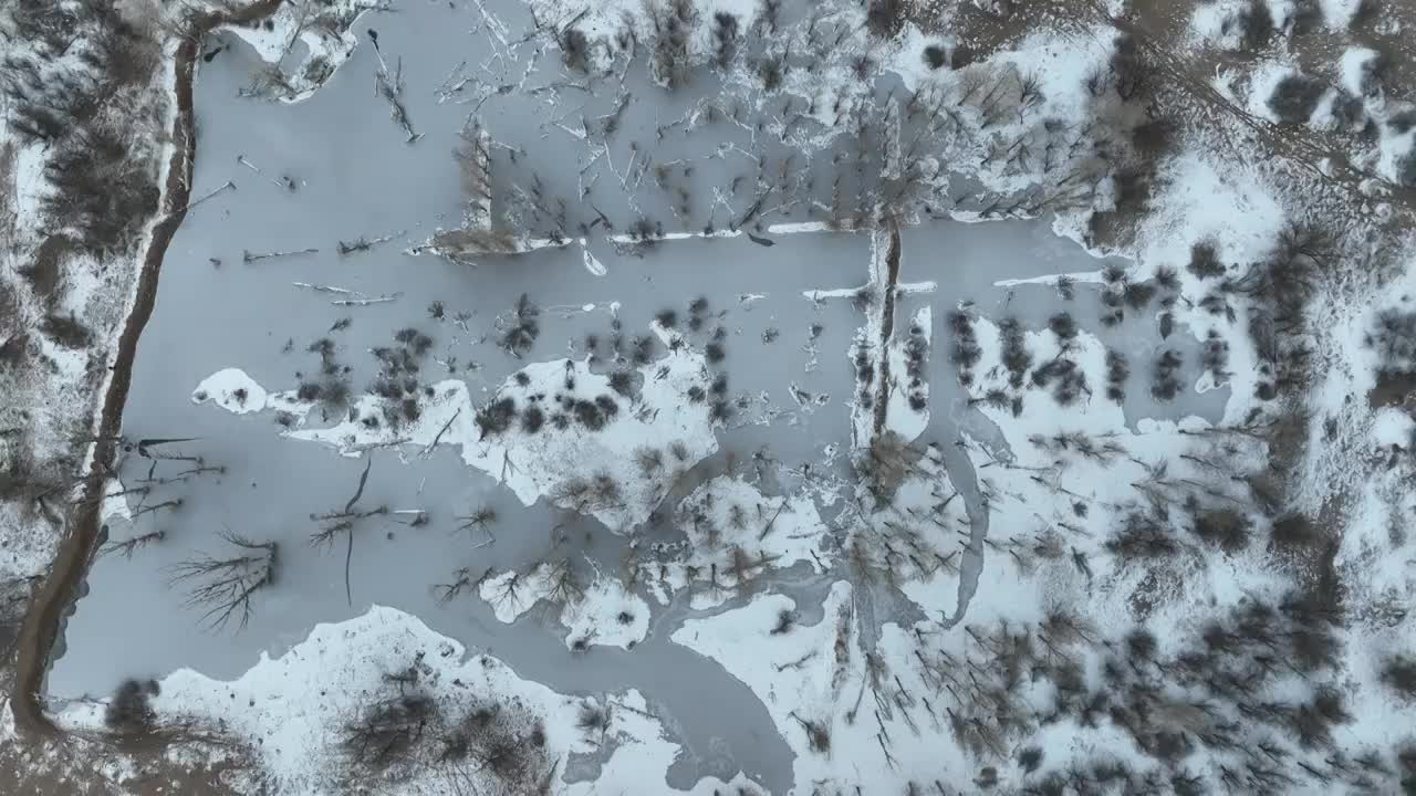 冬季雪景视频素材