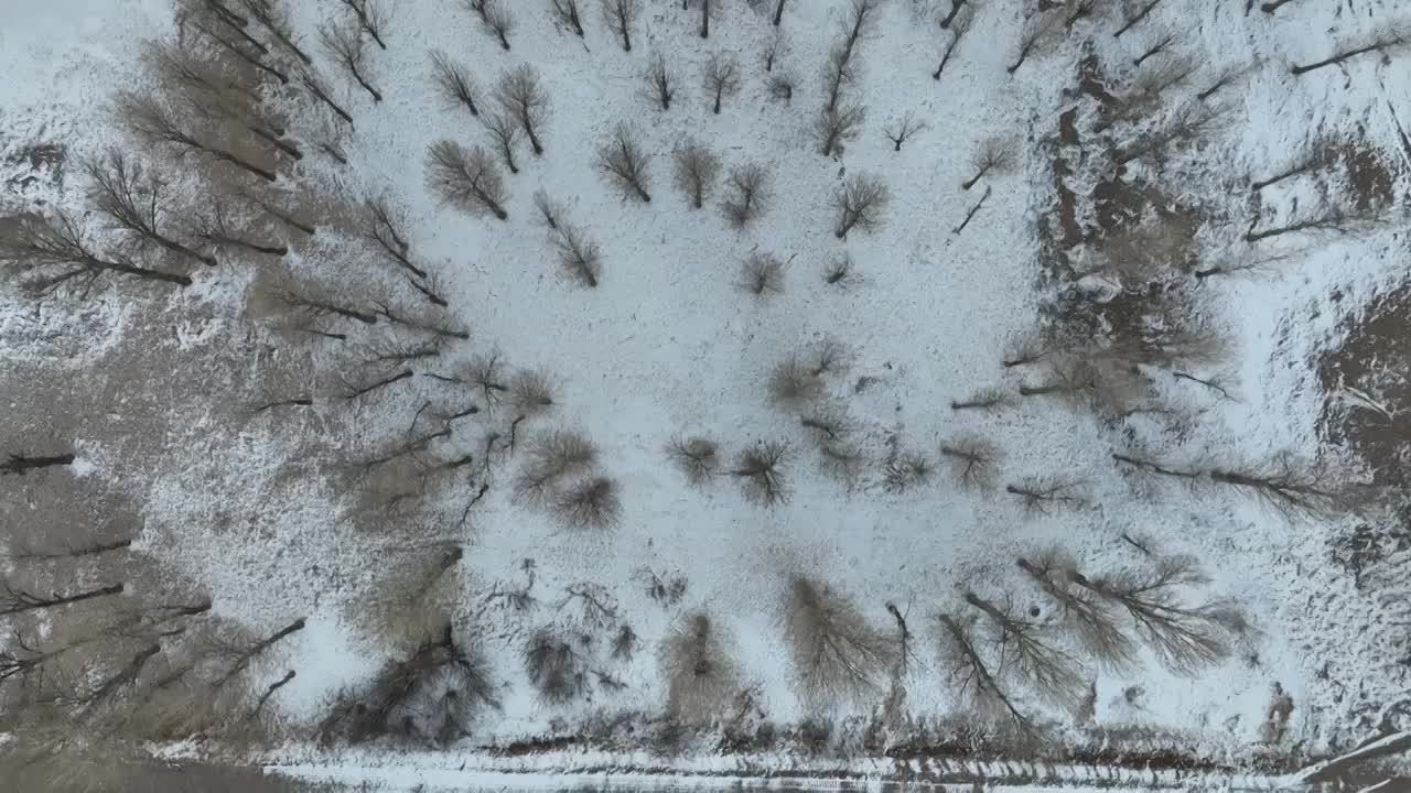 冬季雪景视频素材