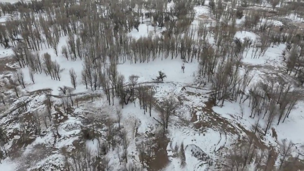 冬季雪景视频素材