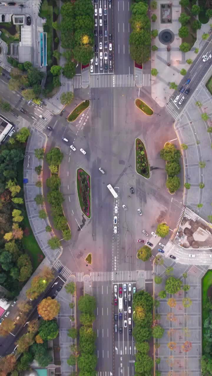 上海世纪大道路口航拍视频视频素材