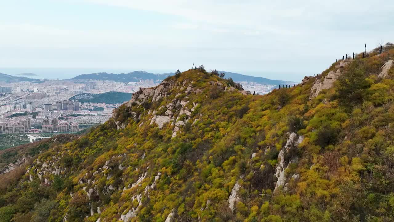 航拍秋天的威海里口山风景视频素材