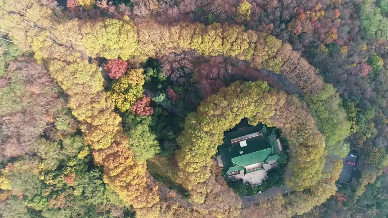 江苏南京中山陵园风景区美玲宫彩林航拍视频素材