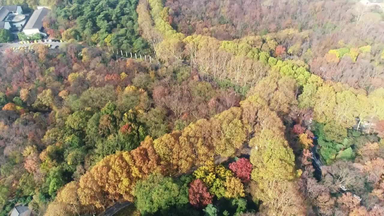 江苏南京中山陵园风景区美玲宫彩林航拍视频素材