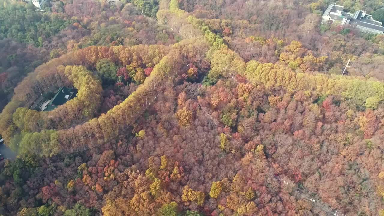 江苏南京中山陵园风景区美玲宫彩林航拍视频素材