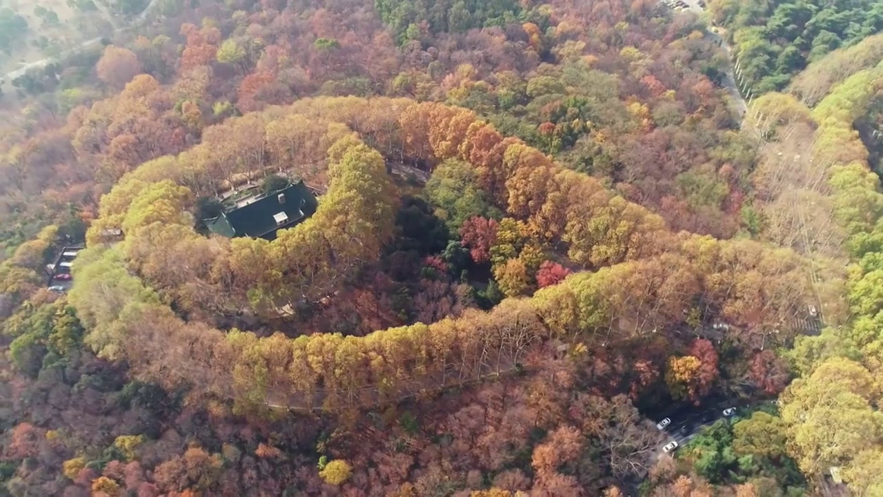 江苏南京中山陵园风景区美玲宫彩林航拍视频素材