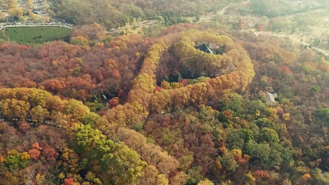 江苏南京中山陵园风景区美玲宫彩林航拍视频素材