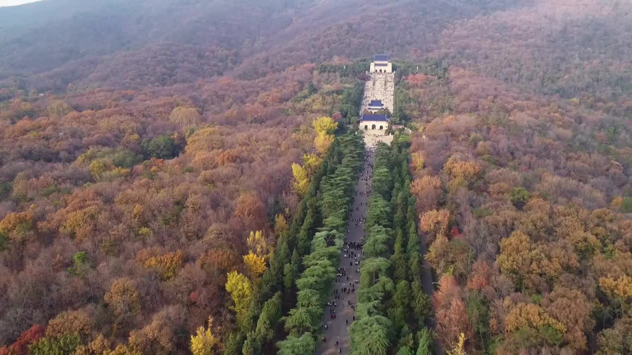 江苏南京中山陵园风景区美玲宫彩林航拍视频素材