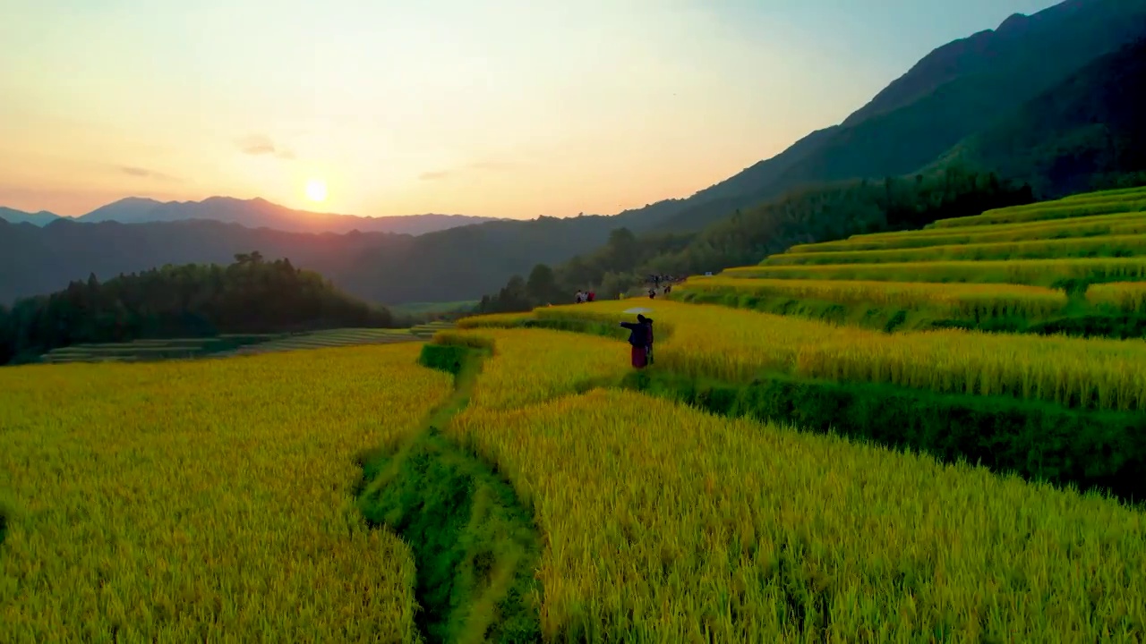 夕阳梯田视频素材