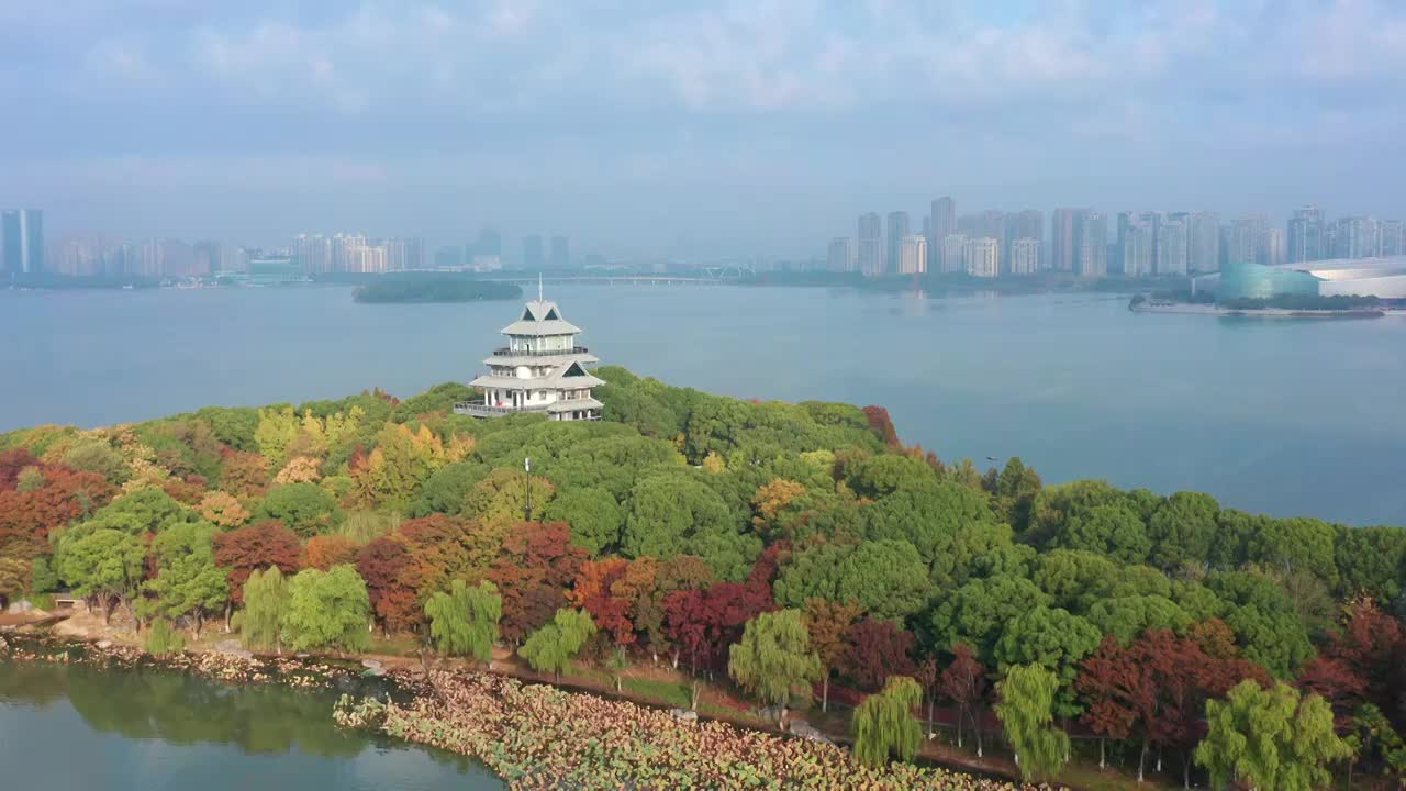 苏州园区金鸡湖的秋天视频素材