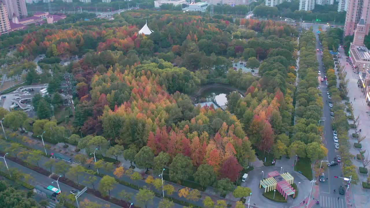 傍晚与夜色下的方洲公园视频素材