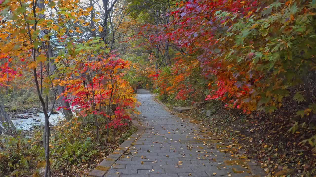 本溪大石湖，大石湖的秋天，本溪的秋景，东北的秋天视频素材