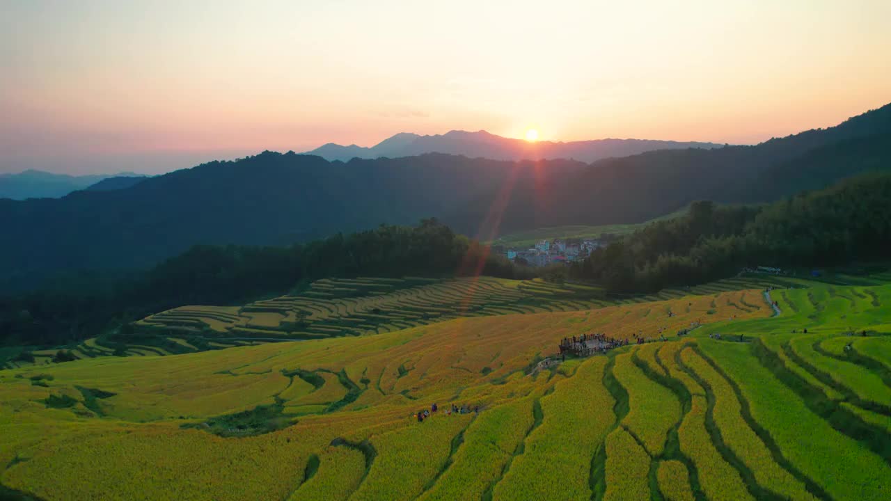 稻田夕阳落日视频下载