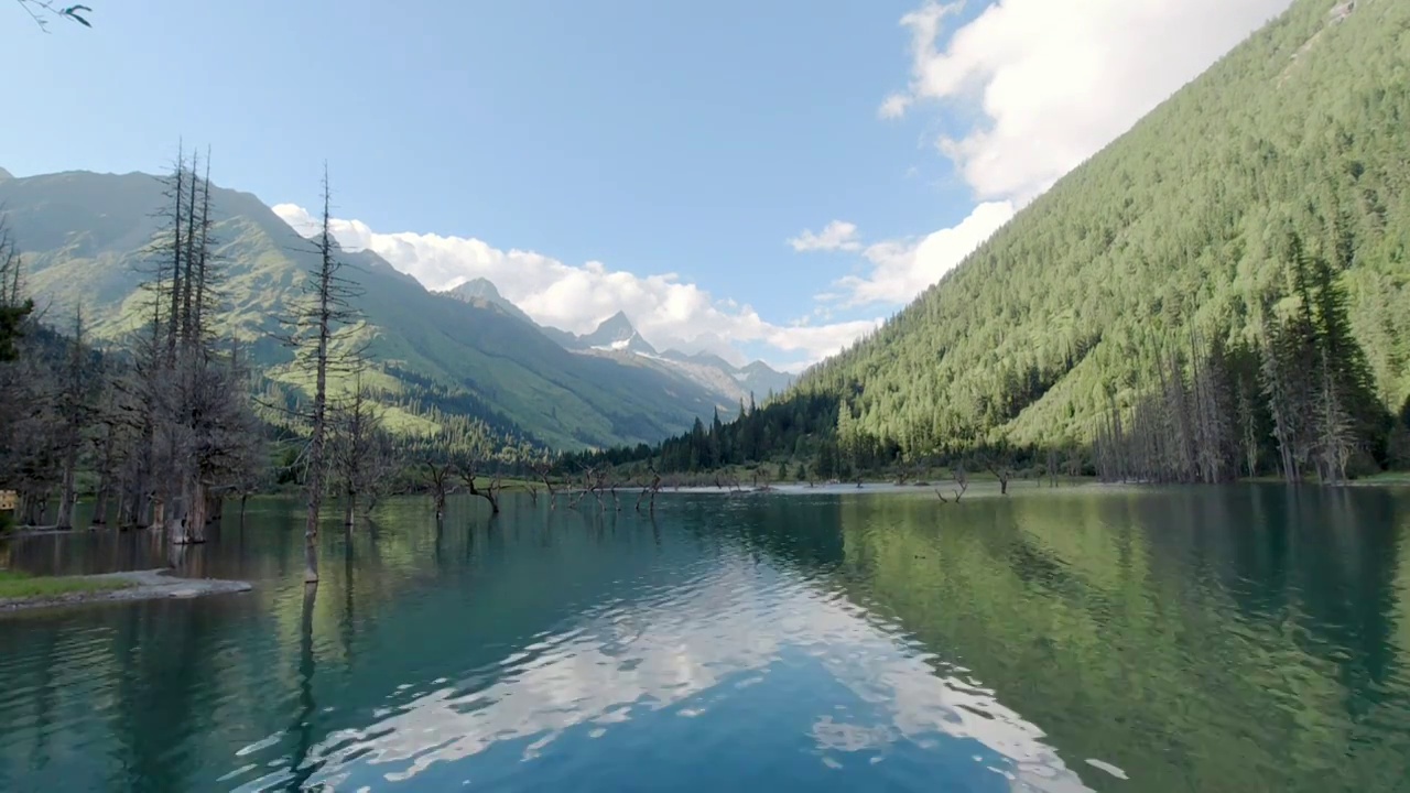 蓝天白云绿山枯树水里倒影视频素材