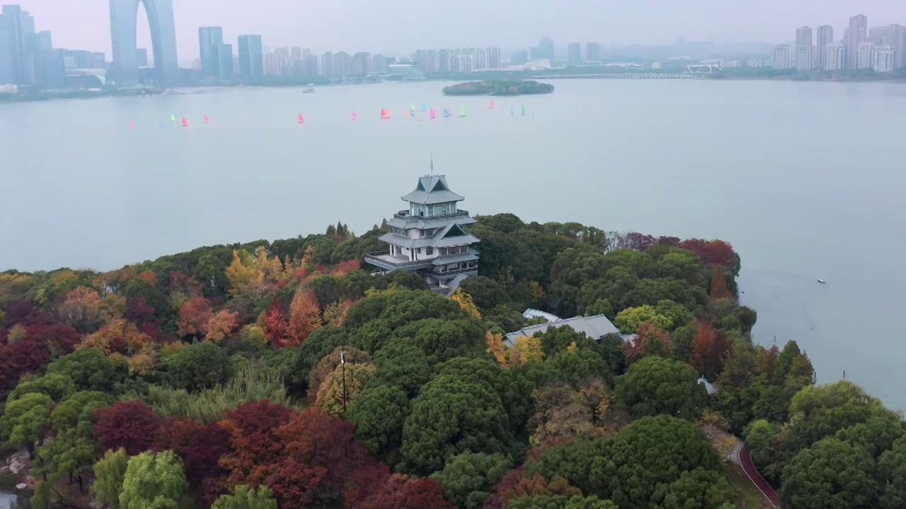 苏州园区金鸡湖帆船赛视频素材