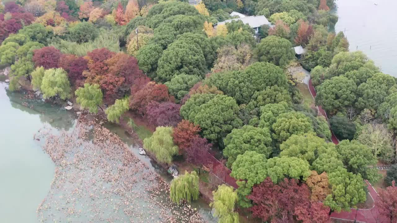 苏州园区金鸡湖帆船赛视频素材