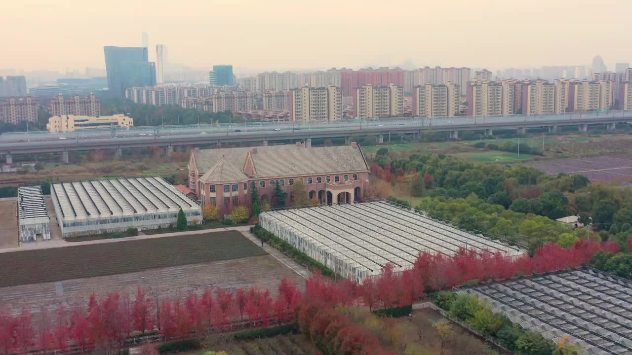 苏州阳澄湖半岛旅游度假区秋景视频素材