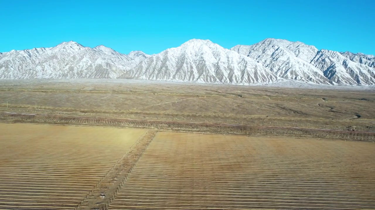 航拍空中鸟瞰雪后宁夏贺兰山边戈壁滩上的红酒葡萄种植园视频素材