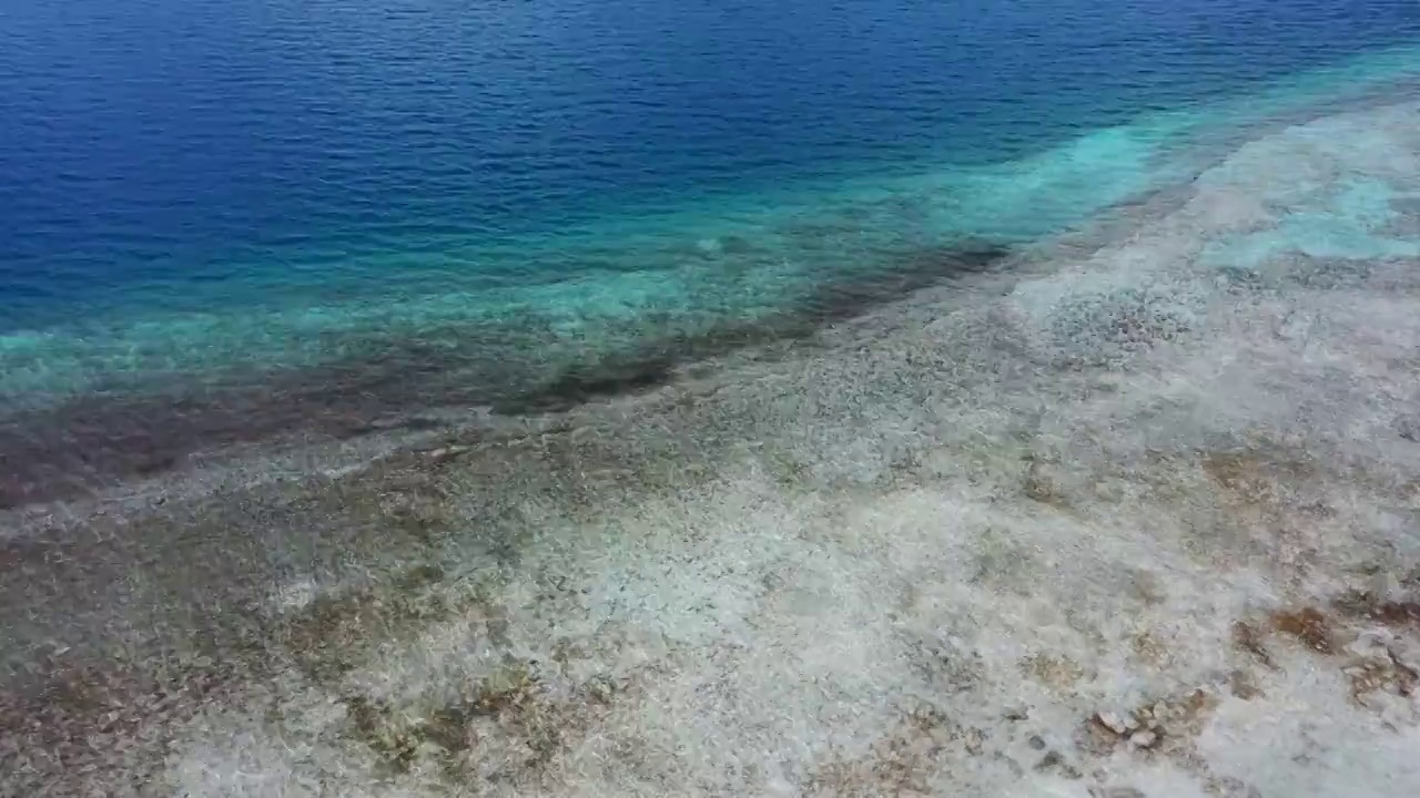 航拍西藏羊卓雍措湖岸清澈的湖水视频素材