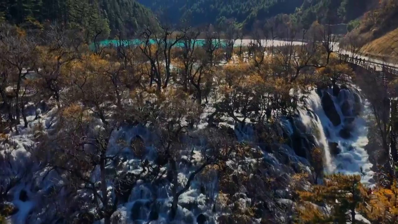 航拍秋天的九寨沟树正瀑布风景视频素材