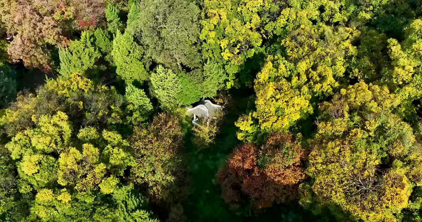 江苏苏州虎丘风景名胜区秋季航拍视频素材