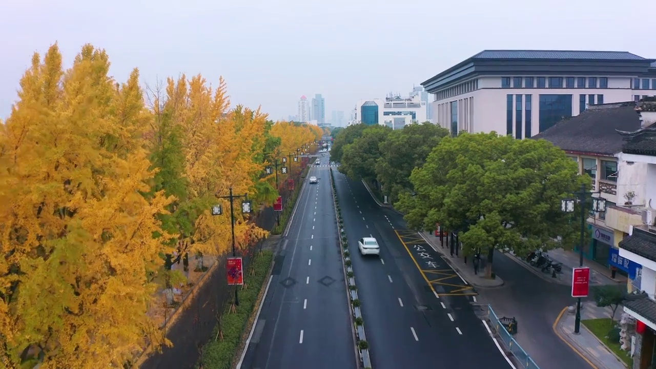 苏州秋季道前街银杏航拍视频素材