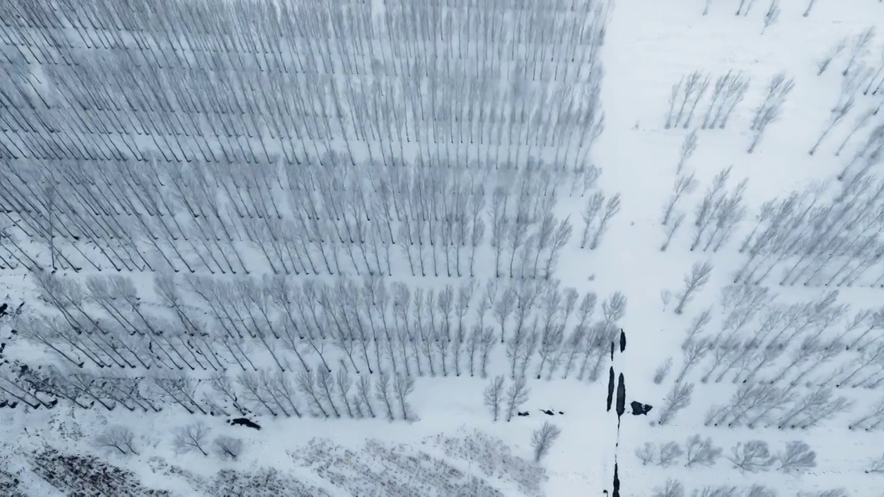 拍摄于辽宁省阜新市阜新县风雪中的北方田野（航拍）视频素材