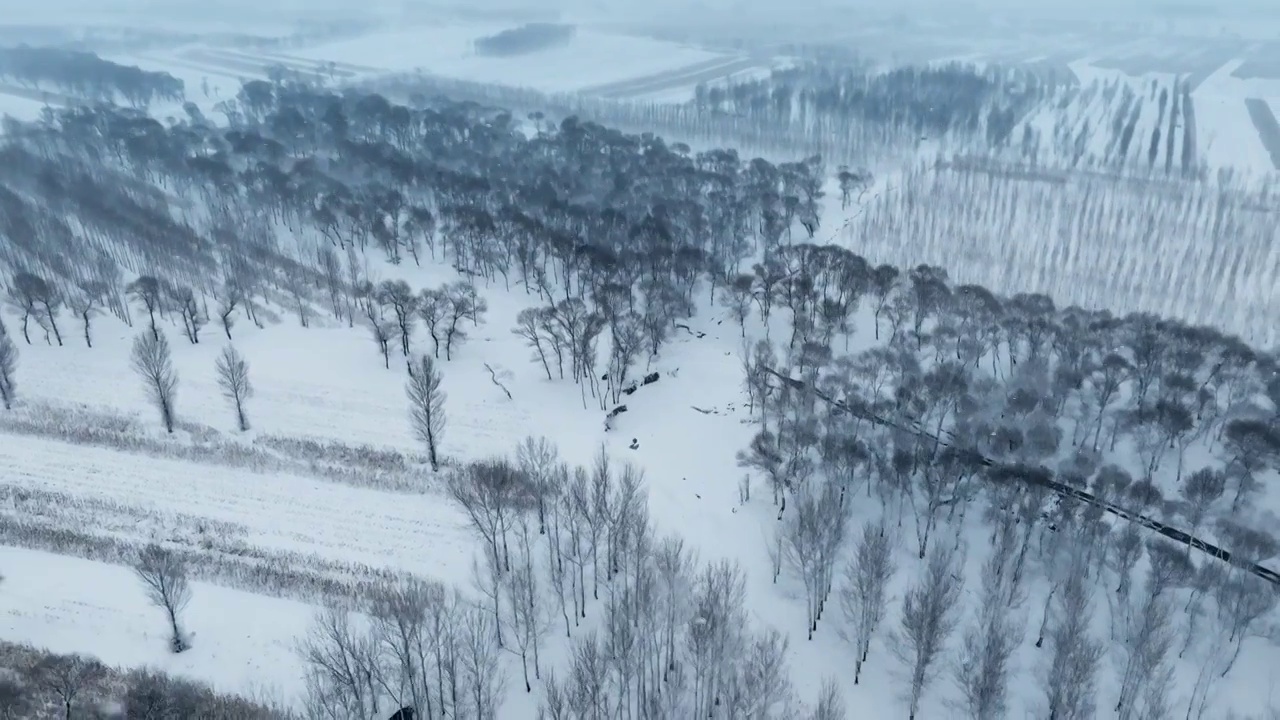 拍摄于辽宁省阜新市阜新县风雪中的北方田野（航拍）视频素材