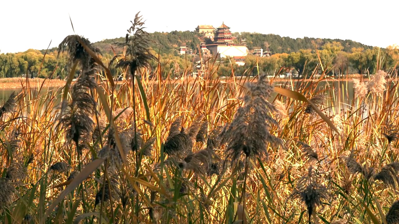 北京颐和园秋天风光视频素材