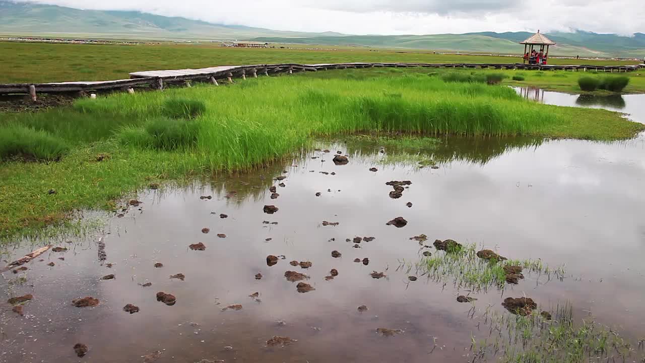 草原湿地湖泊天空视频素材