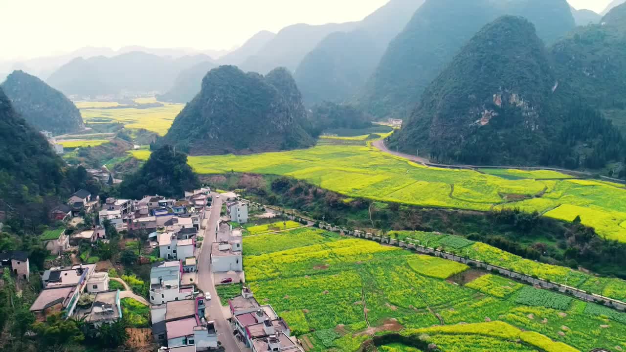 贵州兴义万峰林景区油菜花田航拍视频素材