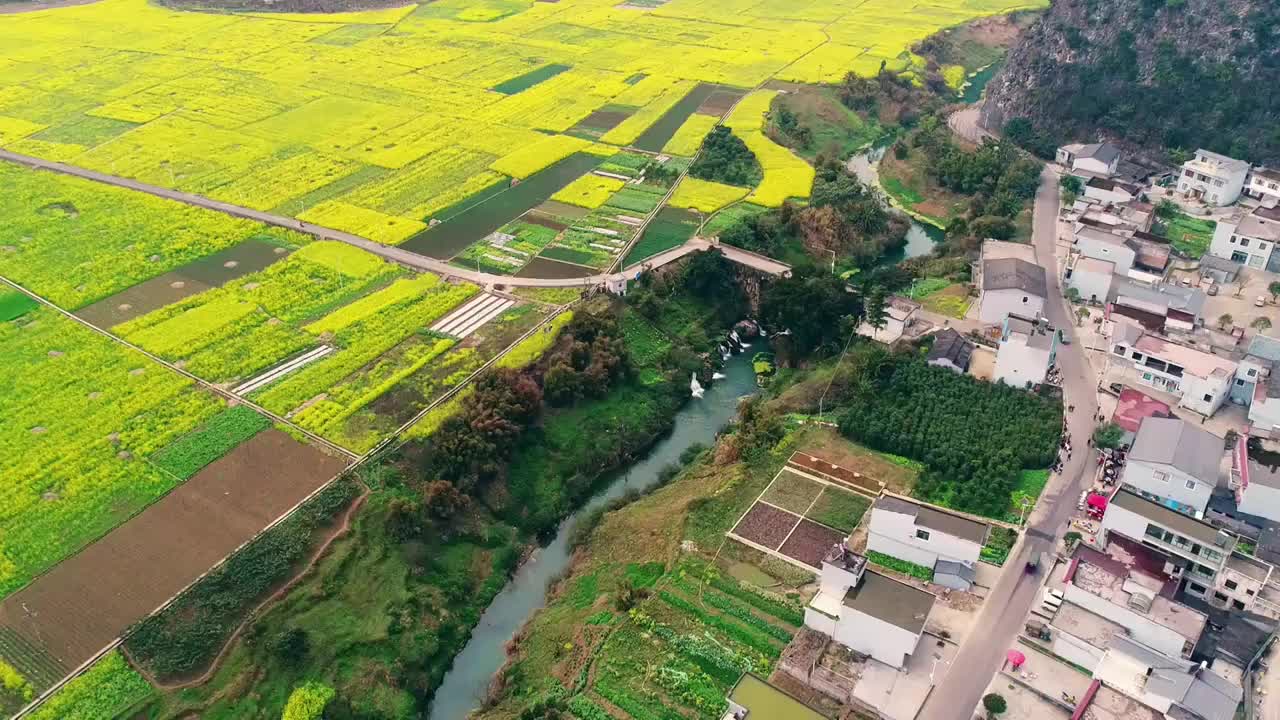 贵州兴义万峰林景区油菜花田航拍视频素材