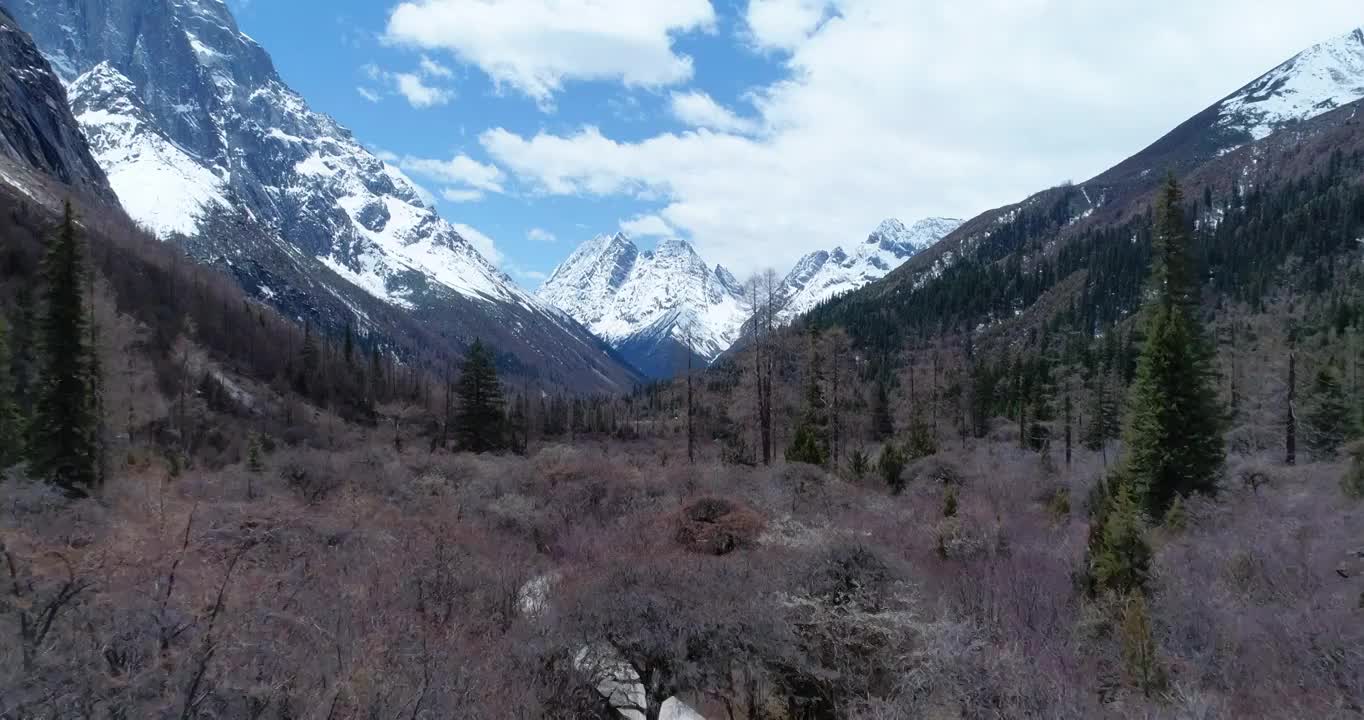 四姑娘山双桥沟秋季蓝天白云航拍视频素材